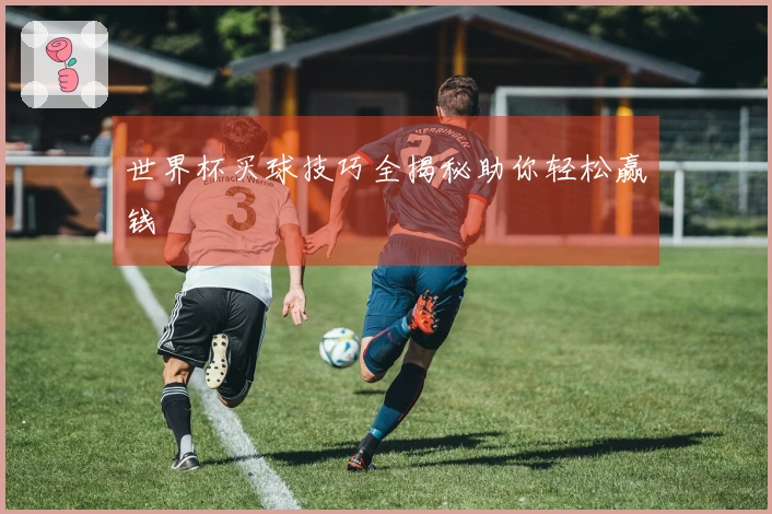 世界杯买球技巧全揭秘助你轻松赢钱
