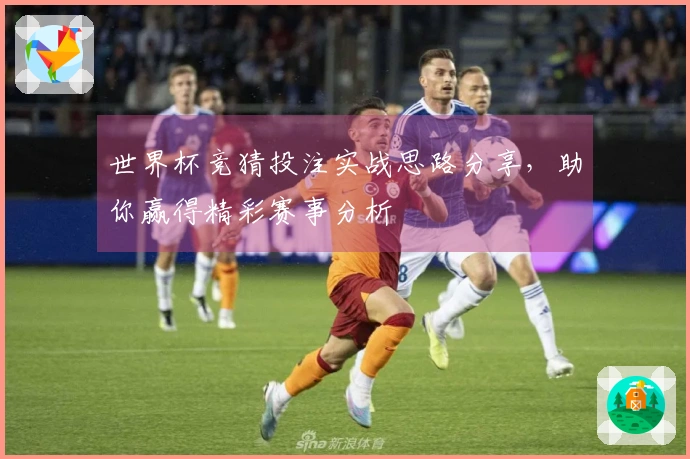 世界杯竞猜投注实战思路分享，助你赢得精彩赛事分析