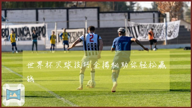 世界杯买球技巧全揭秘助你轻松赢钱