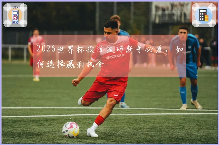 2026世界杯投注技巧新手必看，如何选择赢利机会