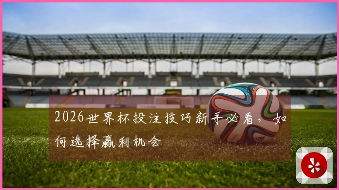 2026世界杯投注技巧新手必看,如何选择赢利机会