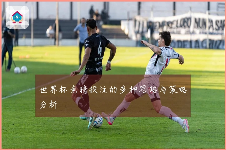 世界杯竞猜投注的多种思路与策略分析